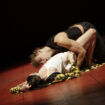 LULU
Ballett Halle
KHP
30.11.2015