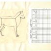 Shmuel Zaidel,1972, hand-bound booklet with illustrations and photographs, 13 pages, 21 x 33 cm
Courtesy of the Noa Eshkol Archive for Movement Notation